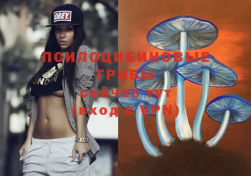 Псилоцибиновые грибы Magic Shrooms  купить  сайты  Рославль 